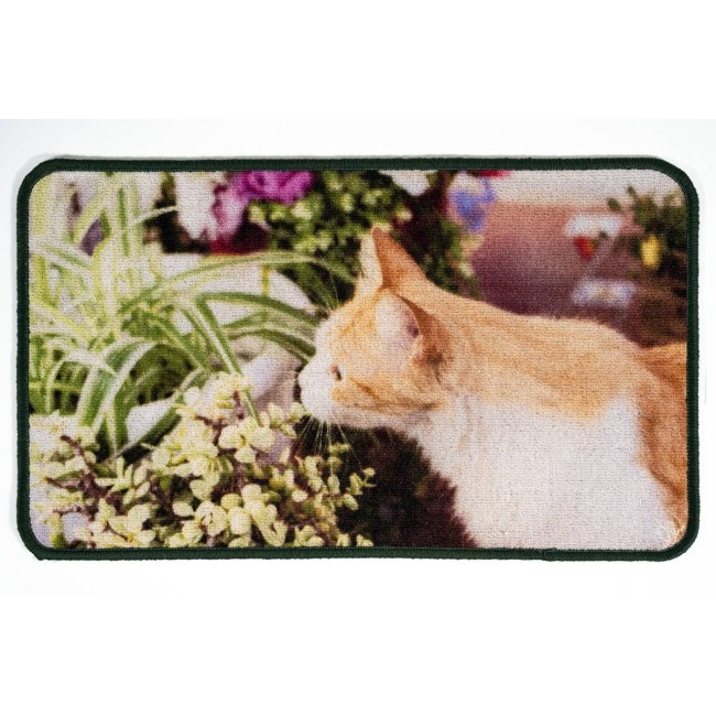 Sdim Πατάκι Εισόδου Μοκέτα με Αντιολισθητικό Υπόστρωμα Animal 001 Πολύχρωμο 44x75εκ.