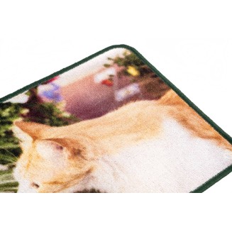 Πατάκι Εισόδου Μοκέτα με Αντιολισθητικό Υπόστρωμα Animal 001 Πολύχρωμο 44x75εκ Sdim