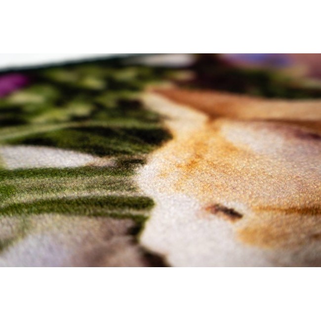 Sdim Πατάκι Εισόδου Μοκέτα με Αντιολισθητικό Υπόστρωμα Animal 001 Πολύχρωμο 44x75εκ.