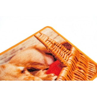 Πατάκι Εισόδου Μοκέτα με Αντιολισθητικό Υπόστρωμα Animal 003 Πολύχρωμο 44x75εκ Sdim