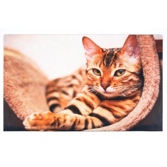 Αντιολισθητικό Πατάκι Εισόδου Gallery 005 Cat 45x75εκ Πάχους 6mm Sdim