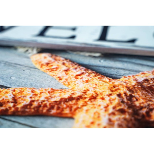 Sdim Αντιολισθητικό Πατάκι Εισόδου Gallery 007 Welcome Star 45x75εκ. Πάχους 6mm