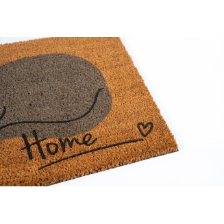 Πατάκι Εισόδου από Κοκοφοίνικα με Αντιολισθητικό Υπόστρωμα Finesse 974 Sweet Cat 40x60εκ Sdim