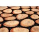 Sdim Αντιολισθητικό Πατάκι Εισόδου Ecomat 040 Tree Rings 45x75εκ.