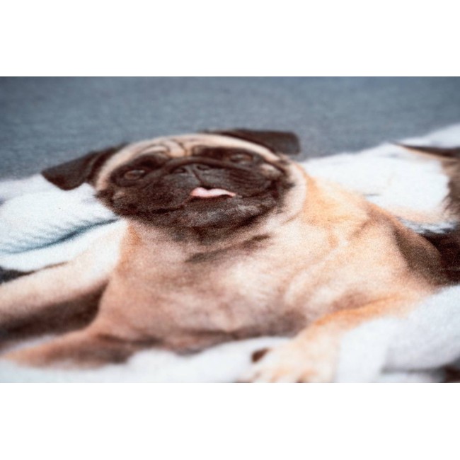 Sdim Πατάκι Εισόδου Μοκέτα με Αντιολισθητικό Υπόστρωμα Image 012 Cat Dog 40x40εκ. Πάχους 6mm