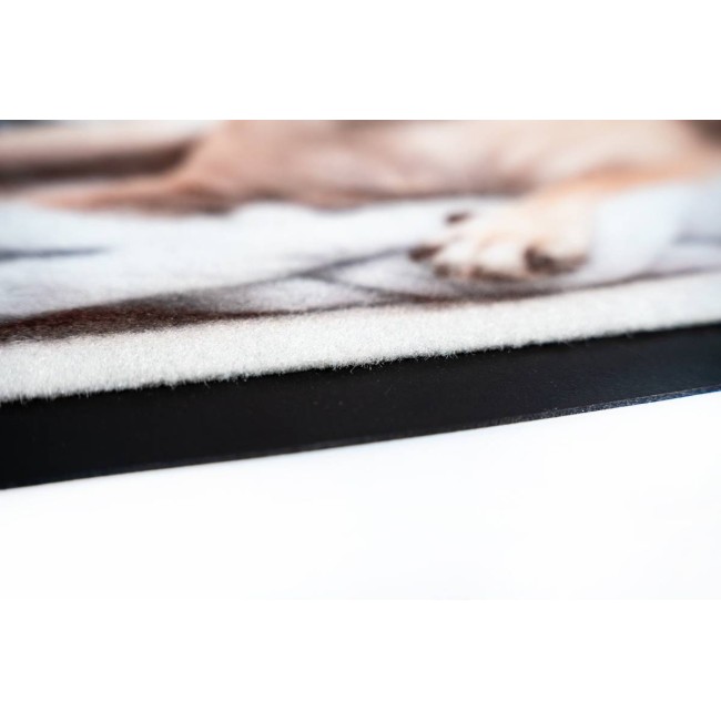 Sdim Πατάκι Εισόδου Μοκέτα με Αντιολισθητικό Υπόστρωμα Image 012 Cat Dog 40x40εκ. Πάχους 6mm