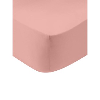 Σεντόνι Μεμονωμένο Μονό Με Λάστιχο 100x200+30 Sunshine Cotton Feelings 101 Powder
