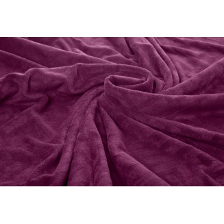 Πετσέτα Θαλάσσης  90x170 Feel And Touch Icon Aubergine