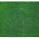 Συνθετικός Χλοοτάπητας Γκαζόν Πλάτος 2m Prato