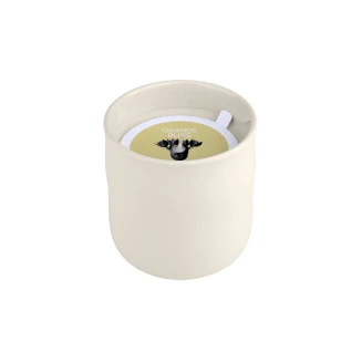 Αρωματικό Κερί 289g Estia Orange Bliss 04-36492