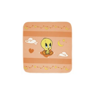 Κουβέρτα Fleece Αγκαλιάς 90x90 Baby Looney Tunes Des 49