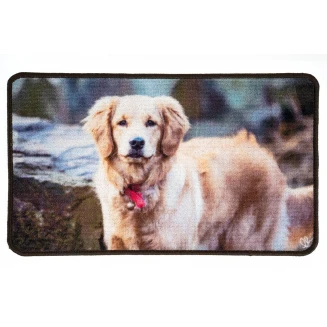 Πατάκι Εισόδου Μοκέτα με Αντιολισθητικό Υπόστρωμα Animal 002 Πολύχρωμο 44x75εκ Sdim