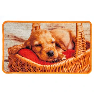 Πατάκι Εισόδου Μοκέτα με Αντιολισθητικό Υπόστρωμα Animal 003 Πολύχρωμο 44x75εκ Sdim