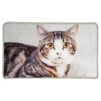 Πατάκι Εισόδου Μοκέτα με Αντιολισθητικό Υπόστρωμα Animal 004 Πολύχρωμο 44x75εκ Sdim