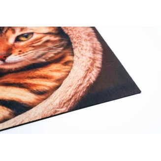 Αντιολισθητικό Πατάκι Εισόδου Gallery 005 Cat 45x75εκ Πάχους 6mm Sdim