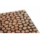 Sdim Αντιολισθητικό Πατάκι Εισόδου Ecomat 040 Tree Rings 45x75εκ.