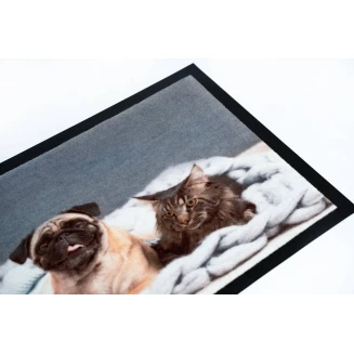 Πατάκι Εισόδου Μοκέτα με Αντιολισθητικό Υπόστρωμα Image 012 Cat Dog 40x40εκ Πάχους 6mm Sdim