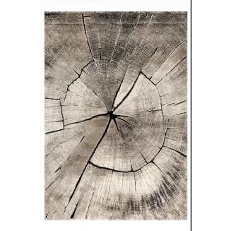 Χαλί 200x290 Tzikas carpets Vegas 20863-795 Καφε-Γκρι