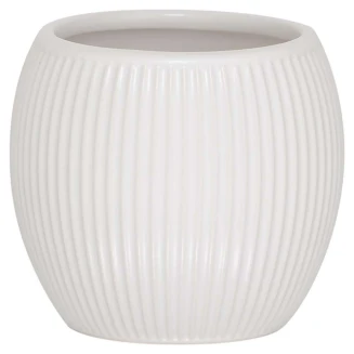 Ποτήρι Οδοντόβουρτσας Sealskin Convex White