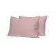 Σετ Σεντόνια Cotton Feelings 115 Rotten Apple King Size (260x270)