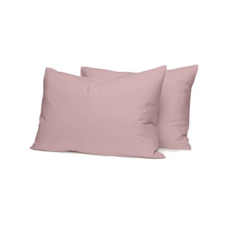 Σετ Σεντόνια Μονό Με Λάστιχο (105x205+30) Sunshine Cotton Feelings 115 Rotten Apple