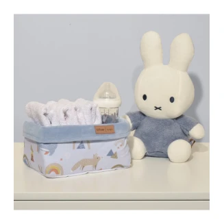 Καλάθι Αποθήκευσης 25x15x13 Oliver Baby Σχ. 411 Γαλάζιο