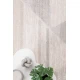 μοντέρνο χαλί solid 1409 ivory royal carpet - 200 x 250 cm