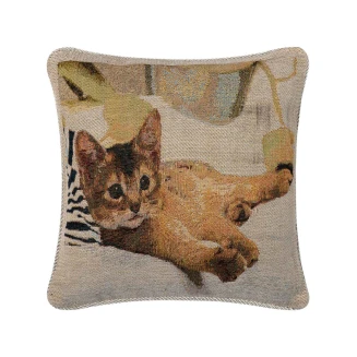 Μαξιλαροθήκη Διακοσμητική 43x43 Silk Fashion   Στόφα30