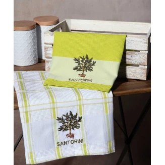 Σετ 2 Τεμ. Ποτηρόπανα 50x70 Silk Fashion Γλάστρα Πράσινο Santorini