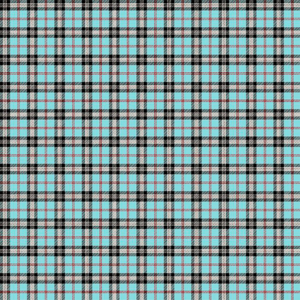 Μαξιλάρι Διακοσμητικό 45x45 Lino Tartan 601 Turquoise