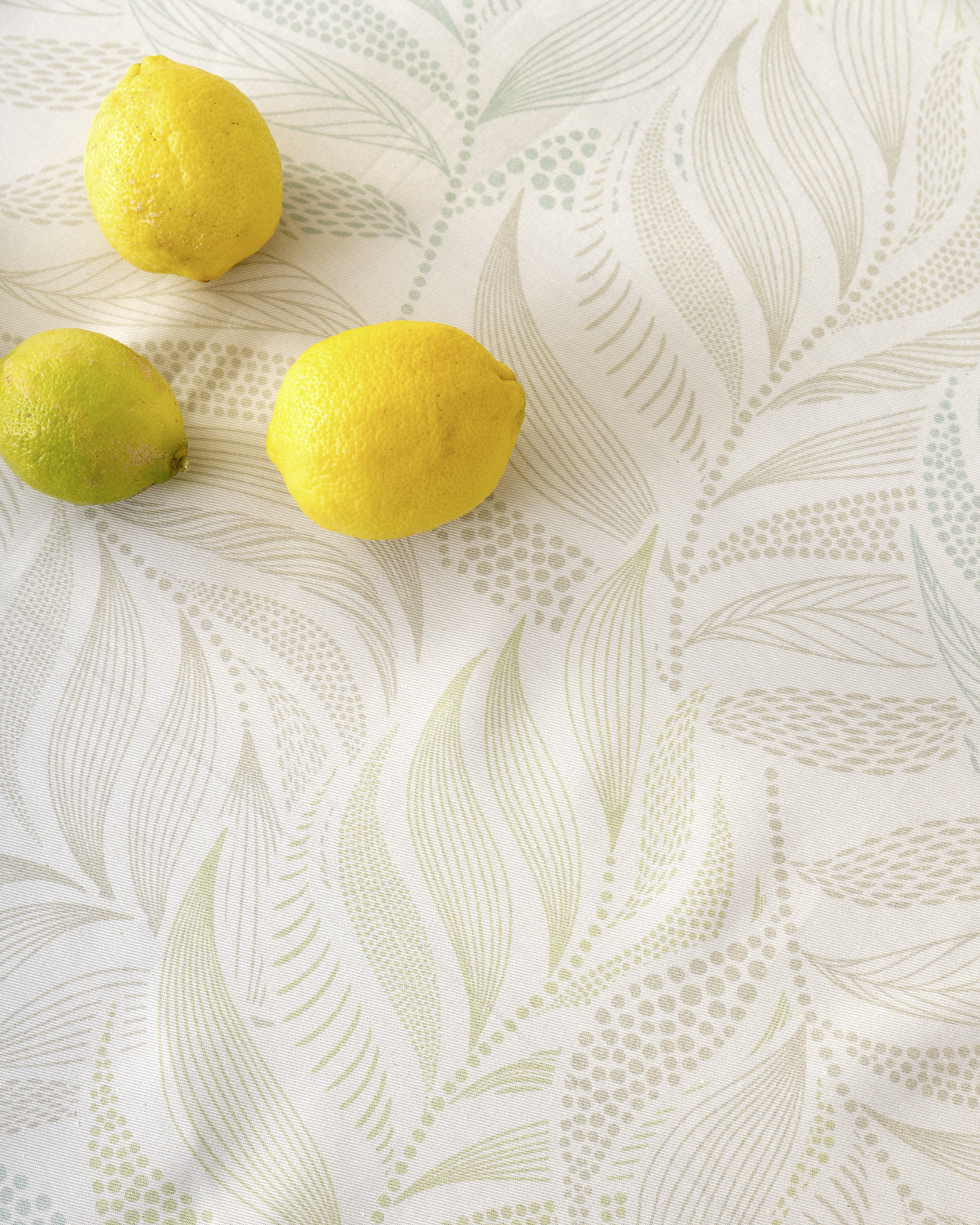 Σετ Σουπλά 2 x 35x50  - Tropical