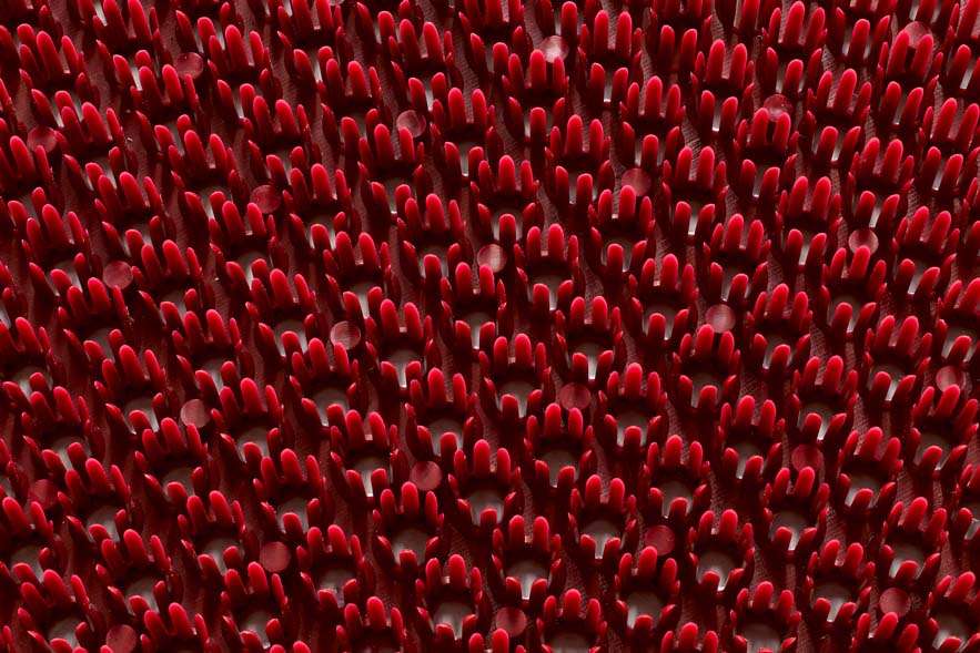 Sdim Πατάκι Εισόδου Condor 060 Bordeaux 40x60εκ. Πάχους 18mm