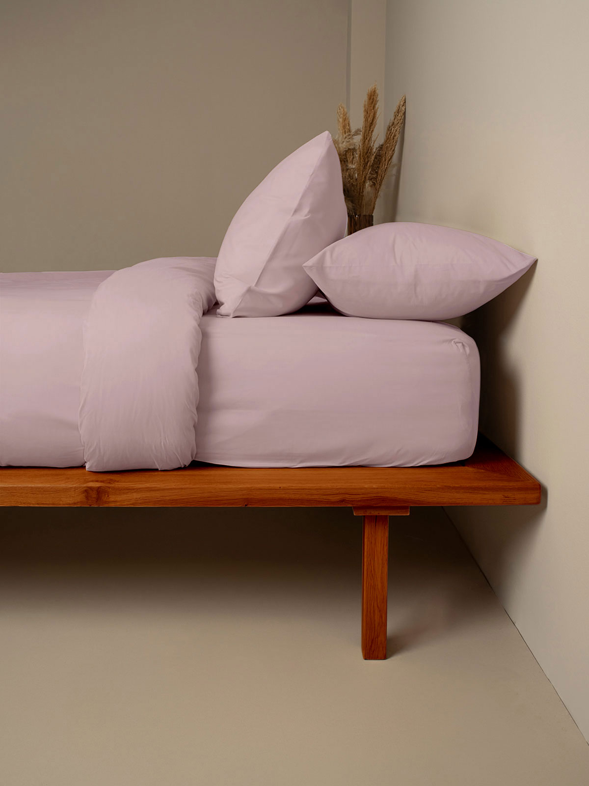 Σετ Σεντόνια Cotton Feelings 115 Rotten Apple King Size (260x270)