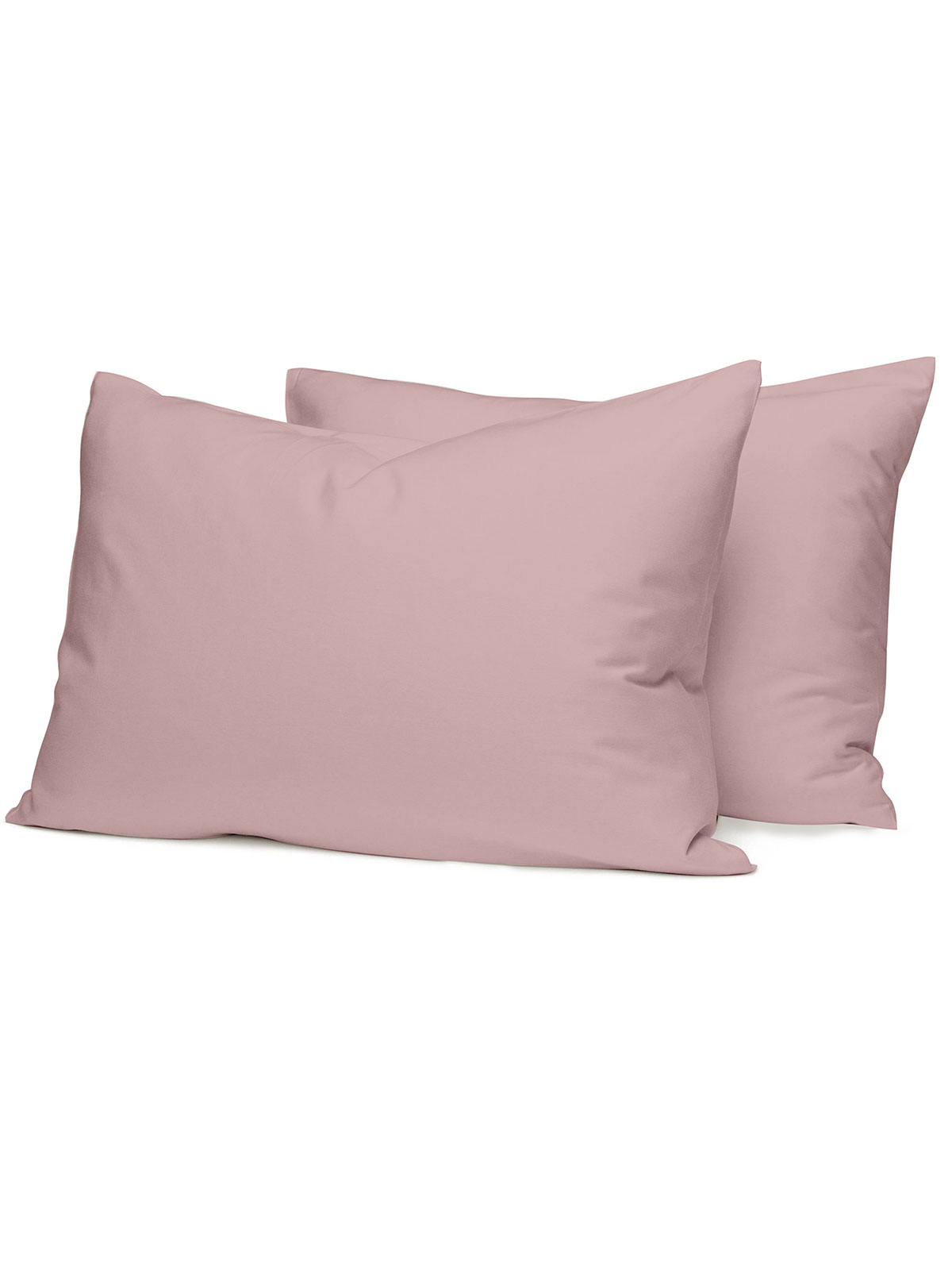 Σετ Σεντόνια Cotton Feelings 115 Rotten Apple King Size (260x270)