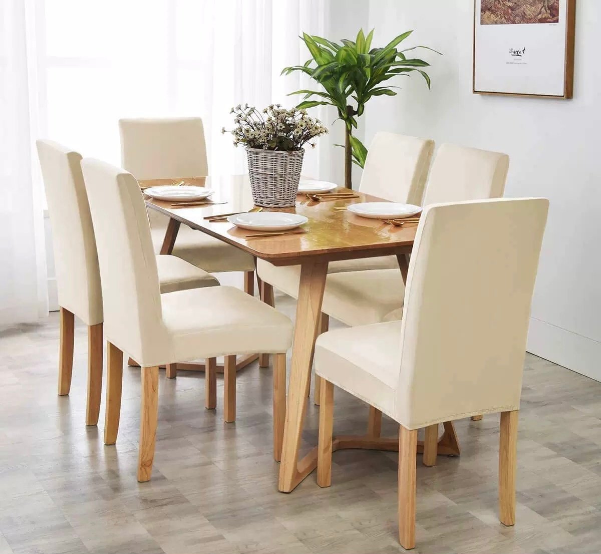 Σετ 6τμχ Ελαστικά Καλύμματα Καρέκλας Χωρίς Βολάν -3